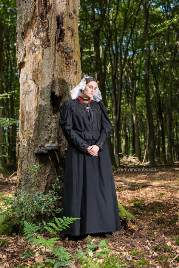 Mystiek in het bos - Afbeelding 1