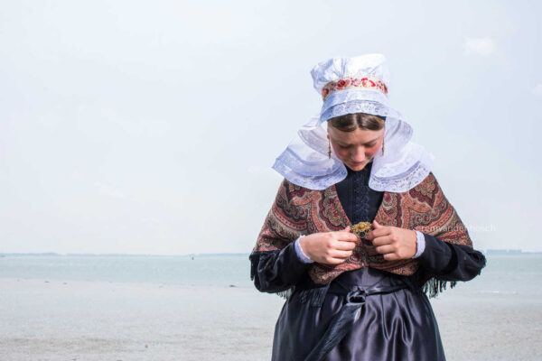 KDM000544 Elegant en kalm aan de kustlijn - Afbeelding 1