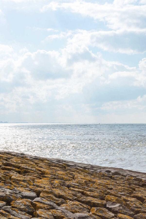 Verstilling aan de Zeeuwse kust - Afbeelding 3