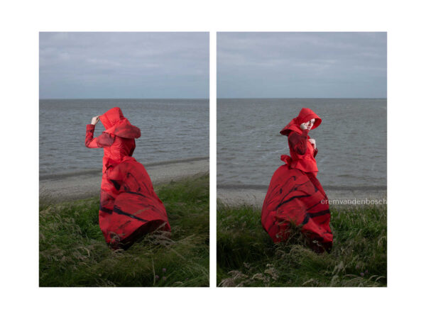 Rood in de wind - Afbeelding 1