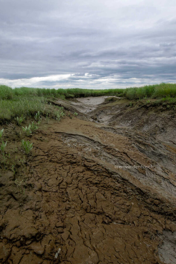 Tijdloze sporen in de aarde - Afbeelding 2