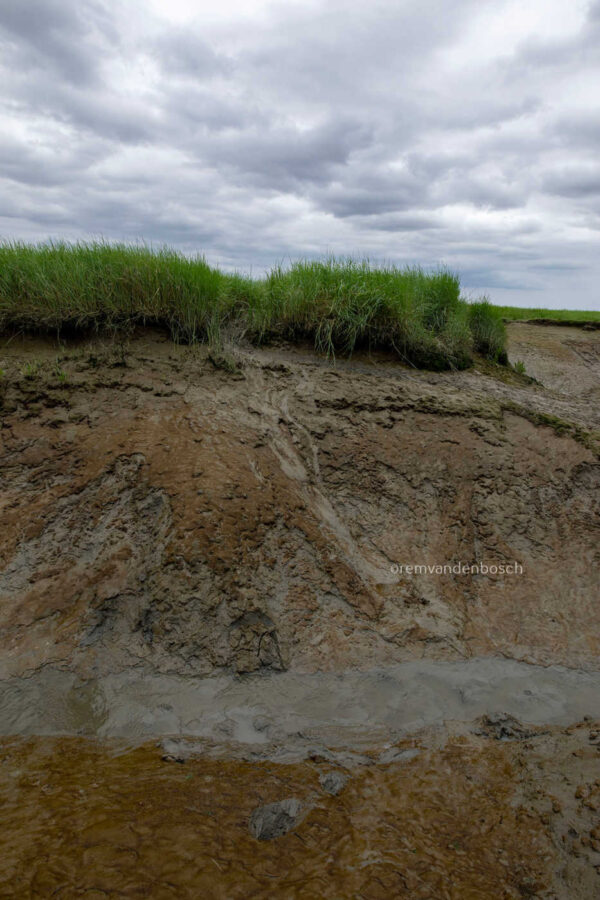 Tijdloze sporen in de aarde - Afbeelding 4