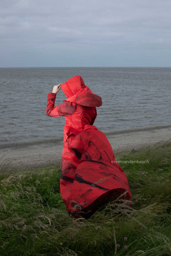 Rood in de wind - Afbeelding 2