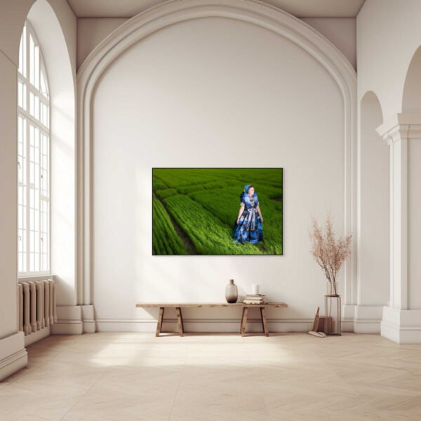 Eenvoud en vrijheid in uitgestrekt vlasveld - Afbeelding 2