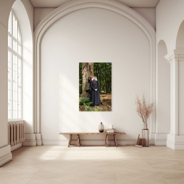 Mystiek in het bos - Afbeelding 2