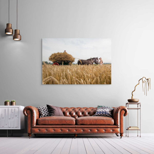 Authentieke Rustiek op het Veld - Afbeelding 2