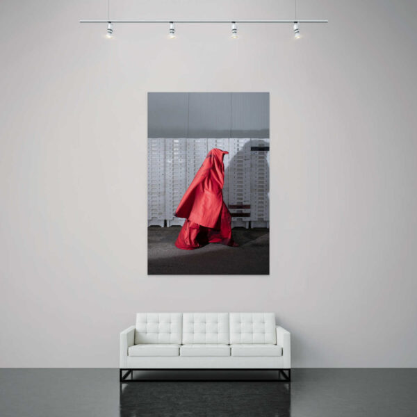 Rode pracht bij de visafslag op Wieringen - Afbeelding 2